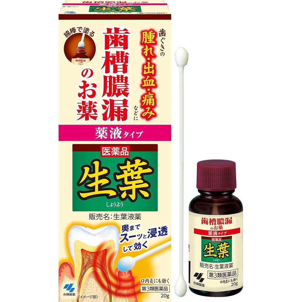 【제3류 의약품】쇼요 액제 20g