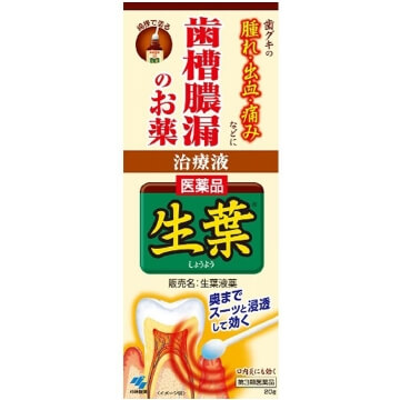 小林製藥 生葉 小林製藥 生葉 牙齦消腫消炎治療液 20g【第3類醫藥品】