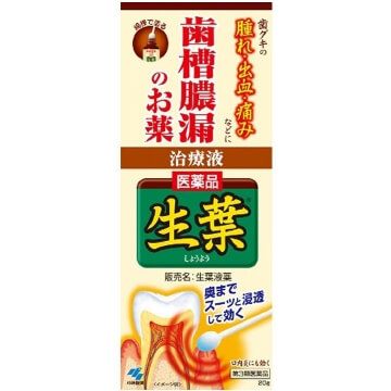 小林製藥 生葉 牙齦消腫消炎治療液 20g【第3類醫藥品】