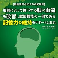 KOBAYASHI Ginkgo Biloba 90 tablets