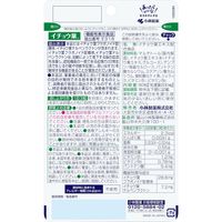 KOBAYASHI Ginkgo Biloba 90 tablets