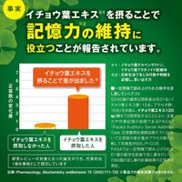 KOBAYASHI Ginkgo Biloba 90 tablets