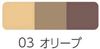 CEZANNE Nose & Eyebrow Powder 03