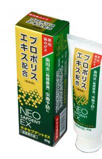 모리카와 건강당 네오셉덴트 EX 80g