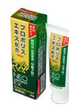 森川健康堂 ネオセプデントEX 80g