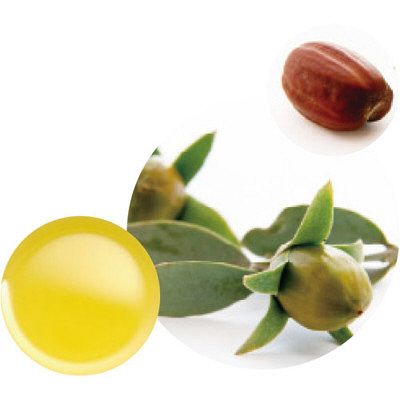Tree of Life Jojoba Oil Clear 70ml