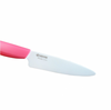 Kyocera Fruit Knife FKR-110PK