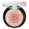 Kanebo COFFRET DOR Smile Up Cheeks S 01