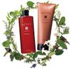 La CASTA 아로마 에스테 헤어솝 35 (샴푸) 리필 600ml