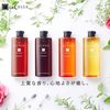 La CASTA Aroma Esthe Hair Soap 21 (Shampoo) 300ml