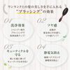 La CASTA 헤드 스파 브러시