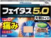 [2nd-Class OTC Drug] Fetas 5.0 large size 10 sheets