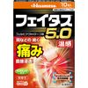 [2nd-Class OTC Drug] Fetas 5.0 Warmth 10 pieces