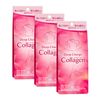 [New] FANCL Deep Charge Collagen Powder 30 days (3.4g x 30)