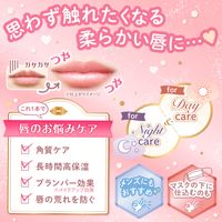 CANMAKE Plump Lip Care Scrub 01 Clear