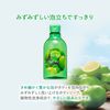 HOUSE OF ROSE 한정판 바디솝 GL (그린 레몬 향) 300mL