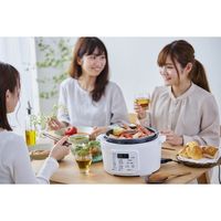 IRIS OHYAMA電壓力鍋 PC-MA4-W 白色 4.0L 附贈原廠食譜