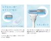HydroSilk Salon Plus 刀架（带刀片）适用于女士、剃须刀、皮肤保护器、Schick