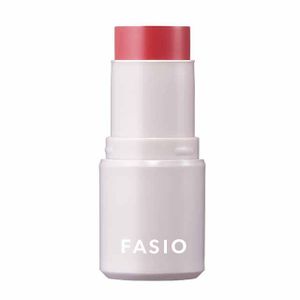 FASIO Multi-Face Stick 01 Perfect Smile
