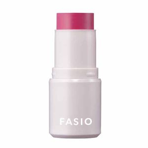 FASIO Multi-Face Stick 05 Fresh Berry