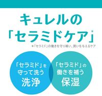 Curel 溫和潔淨泡沫洗髮露 480 ml