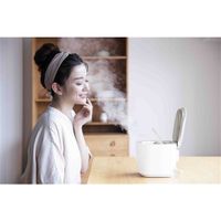 Panasonic Steamer Nano Care Facial Massager EH-SA0B-N