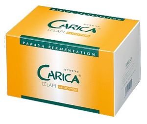 [Green papaya fermented food] Karika Serapi SAIDO-PS501 100 packets