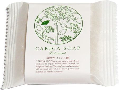 【無添加自然派肥皂】植物性木瓜酵素皂 30g