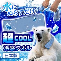 아이스논 극냉감 타월 블루 하쿠겐어스