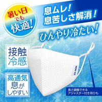 ICE-NON Cooling Mask, 2-Pack, Hakugen Earth