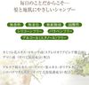 HOUSE OF ROSE 하우스오브로제/카모마일드 샴푸 n (대용량 사이즈) 500mL