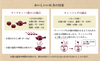 Lupicia 深蒸煎茶「浮世一番五輪」茶袋 25 枚