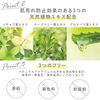 Cure 天然水凝胶 去角质凝胶 去角质凝胶 天然水凝胶 100g