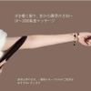 リンクス PYR KNIGHT 家庭用美容痩身機 KY-PK-BR01