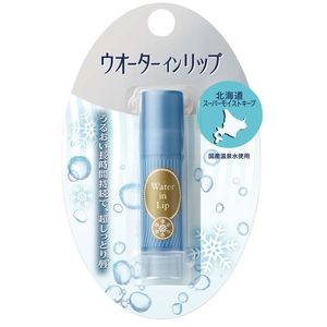 Water in Lip 超水潤護唇膏 n 3.5g