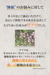 북쪽 쾌적공방 라프마 GABA(갸바) 함유 건강보조식품
북쪽 대지의 꿈방울
수면 개선으로 쾌적한 하루를
1개월분 90정
