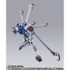 METAL BUILD 鋼彈模型 CROSSBONE GUNDAM X3