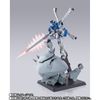 METAL BUILD Crossbone Gundam X3