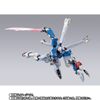 METAL BUILD 鋼彈模型 CROSSBONE GUNDAM X3