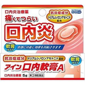 [Designated second kind pharmaceutical products] Ein mouth ointment A 5 g