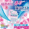 Dry & Dry UP 適用於抽屜和衣箱，花香型，12 張