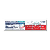 약용 카무텍트 컴플리트 케어 EX 입냄새 케어 플러스 치약 105g