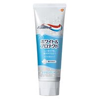 アクアフレッシュ ホワイト&プロテクト ダブル美白タイプ クリーンミント 薬用ハミガキ 140g