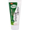 클린스마일 틀니 전용 치약 상쾌한 녹차향 95g