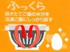 Skater 薄米冷冻容器 S 270ml 史努比花生 日本制造 RGO1