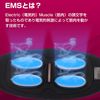 腰部按摩器 USB充電 遙控操作 輕量級 男女皆可用尺寸