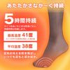 アイリスオーヤマ カイロ 貼る くつ下用 15足 ぽかぽか家族 PKN-15HK