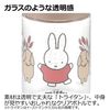 Richell 米菲随身奶瓶 塑料婴儿奶瓶（0-3个月左右）