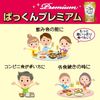SVELTY Triple* Pakkun Yeast Premium
