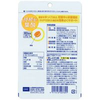 DHC sustained folic acid 60 days (60 tablets)